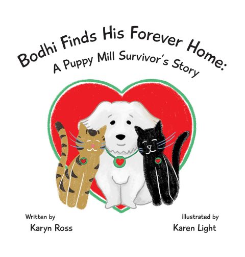 Bodhi Finds His Forever Home